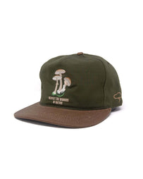 The Ampal Creative Respect Wonders II Olive Headwear Men One Size
